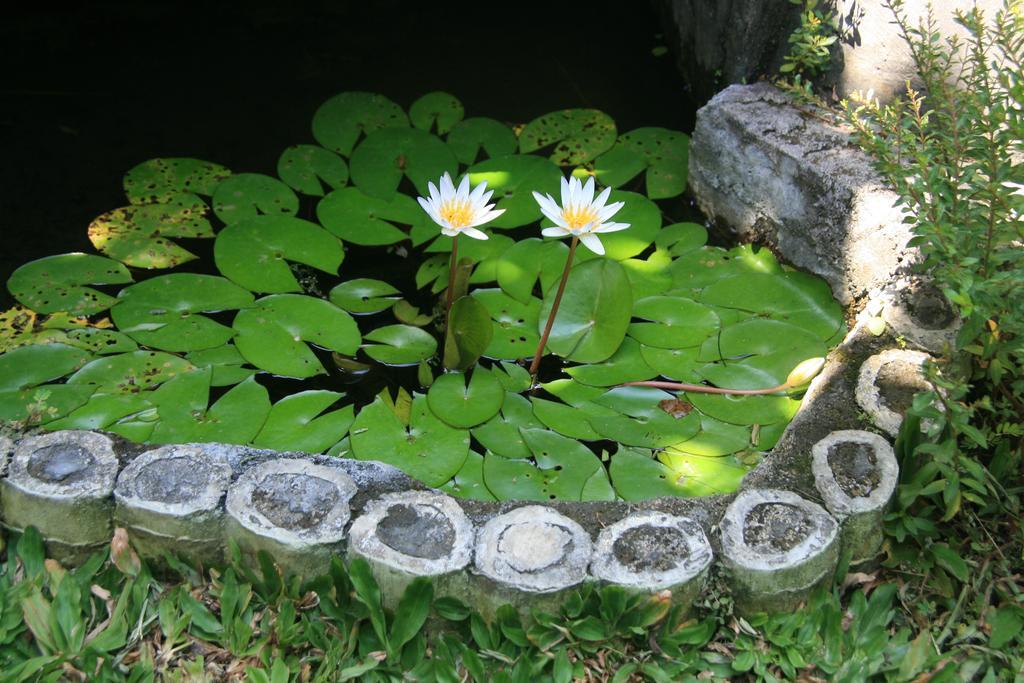 Ojek's Hospedagem domiciliar Ubud
